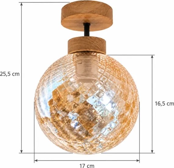 BRILAGI - Lustră LED aplicată R GLASS 1xE27/60W/230V Ø 17 cm stejar/bej fumuriu
