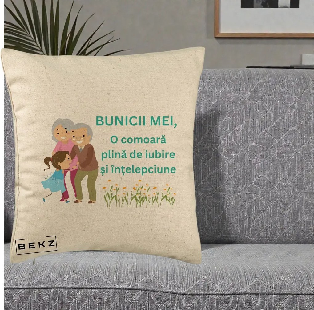 Cadou pentru Bunici - Perna Personalizata Bunicii Mei Comoara Iubire Intelepciune Nepoata, 40x40 cm, Bej, Husa Detasabila, Perna Inclusa, BEKZ®