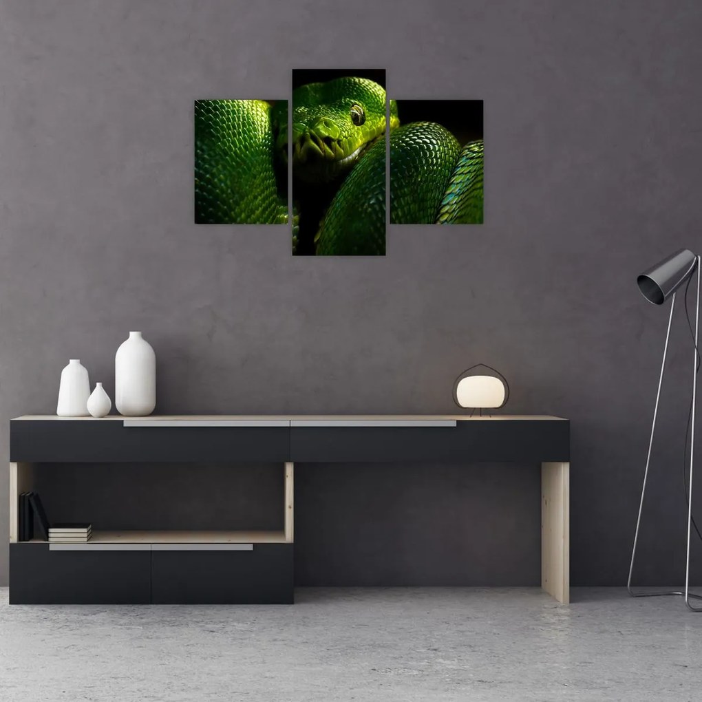 Tablou - Șarpele verde (90x60 cm)