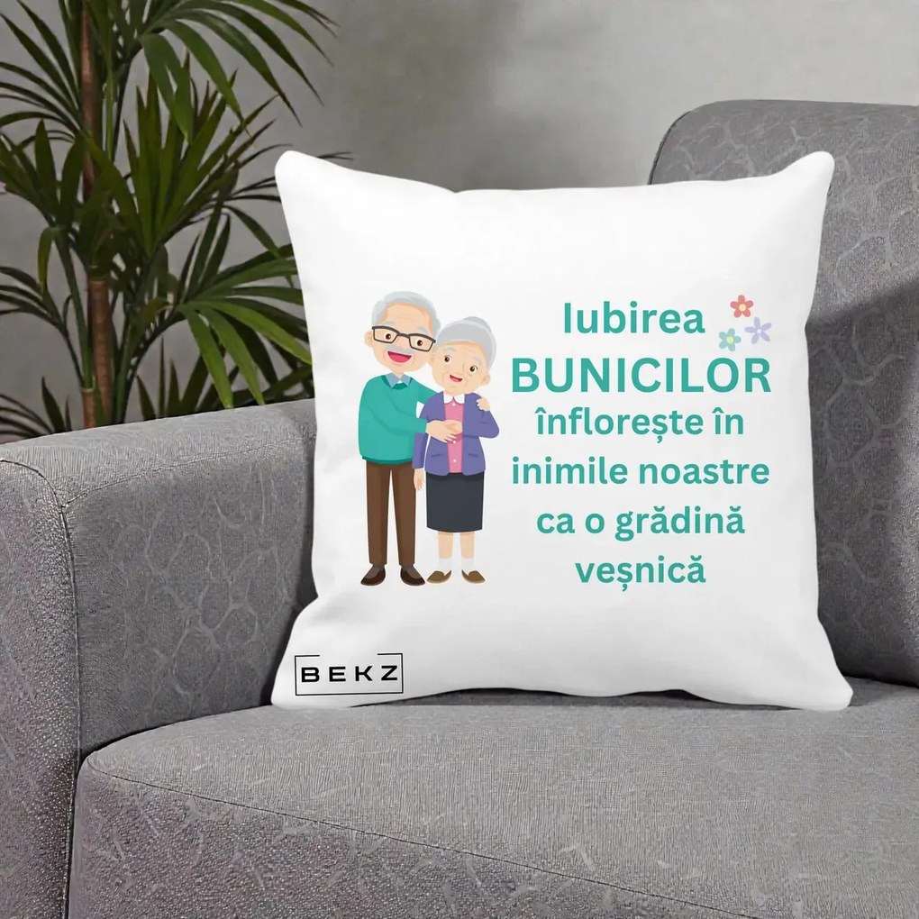 Cadou pentru Bunici - Perna Personalizata Bunicii Iubirea Infloreste Cuplu Senior Teal, 40x40 cm, Alba Mata, Husa Detasabila, Perna Inclusa, BEKZ®