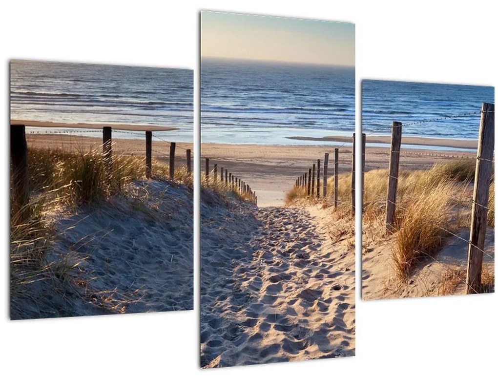 Tablou - Drum spre plaja din Marea Nordului, Țările de Jos (90x60 cm)
