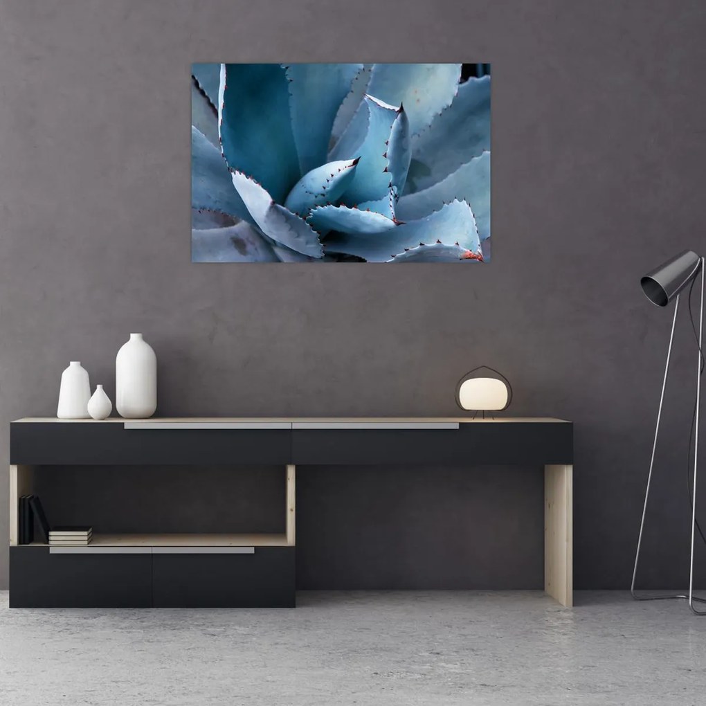 Tablou - Agave (90x60 cm)