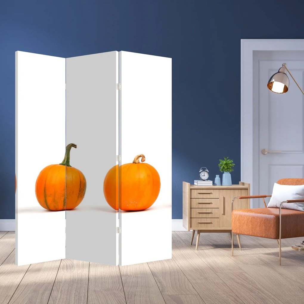 Paravan - Dovleac (126x170 cm)