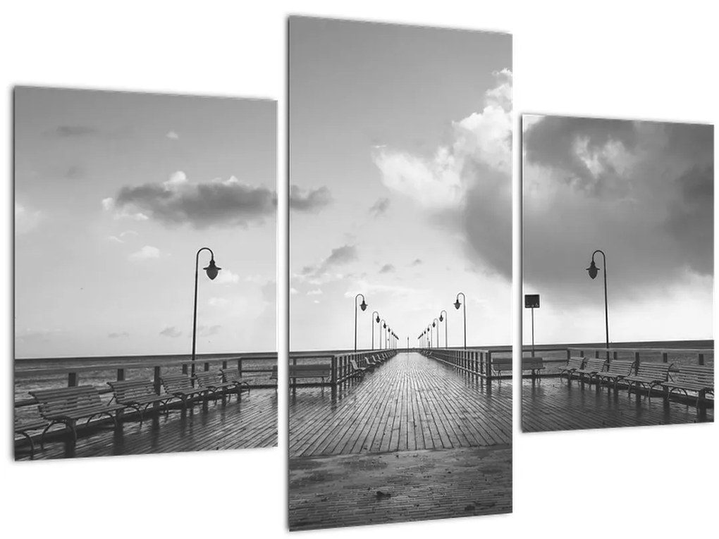 Tablou - Promenada la mal (90x60 cm)