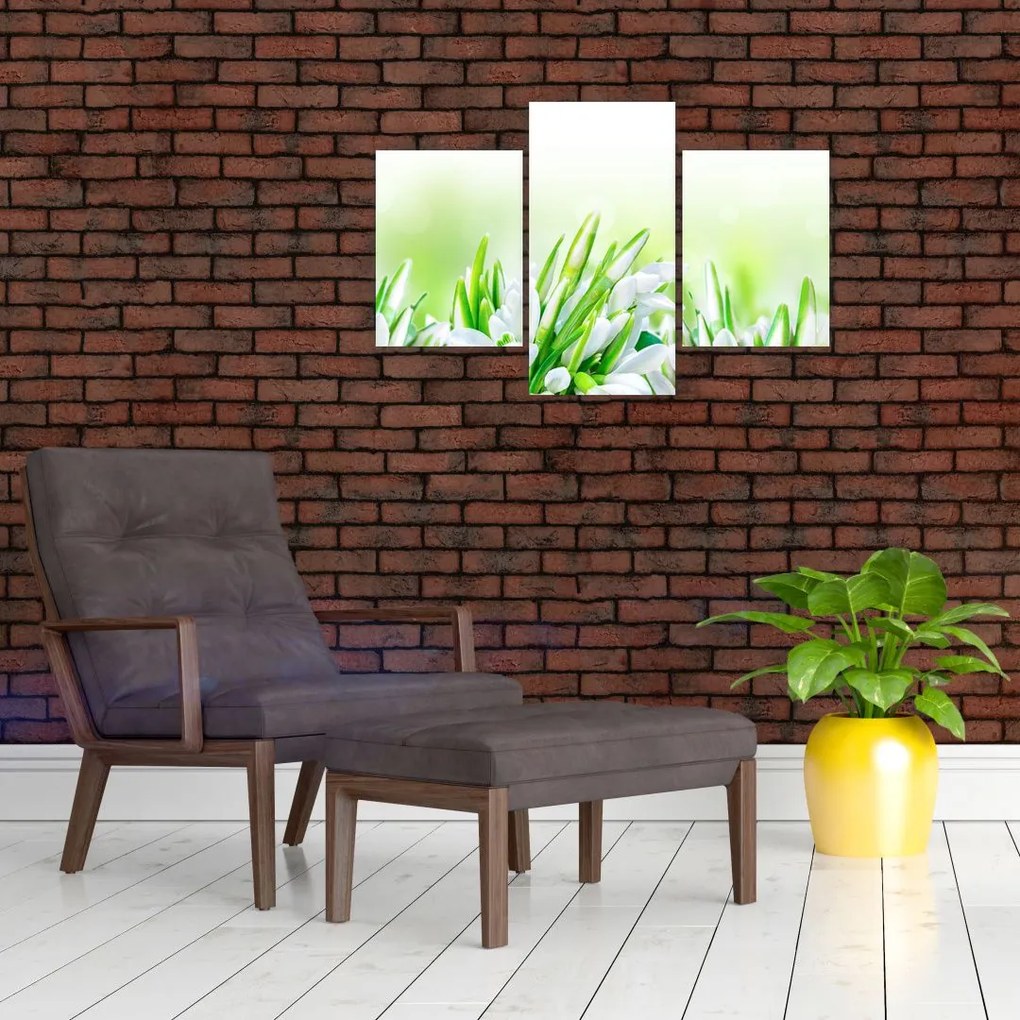 Tablou - Ghiocei (90x60 cm)