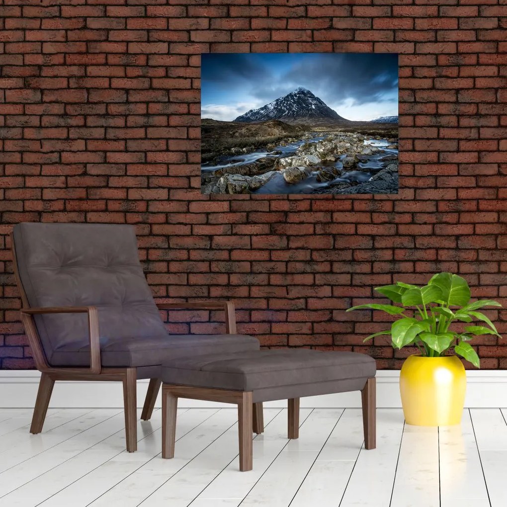 Tablou cu munții și tigrul (70x50 cm)