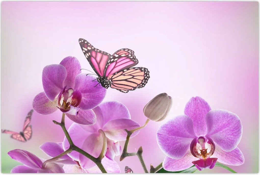 Tablou - Fluture pe flori de orhidee, liliac (90x60 cm)