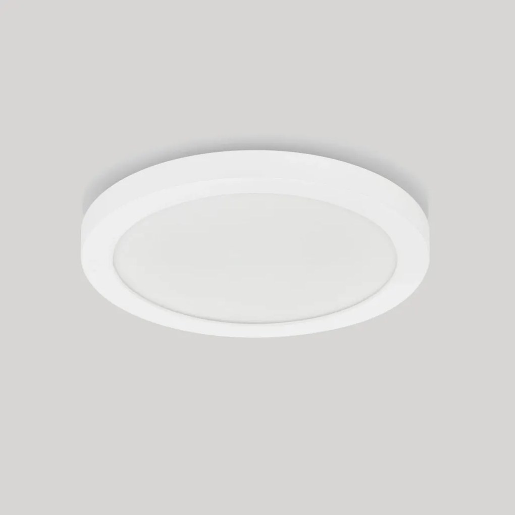 Plafoniera exterior LED CCT cu protectie IP54 Cerium 24W alb
