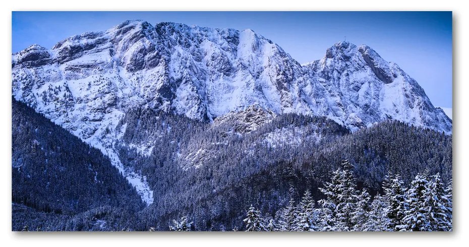 Tablou Printat Pe Sticlă Tatra Munții Giewont