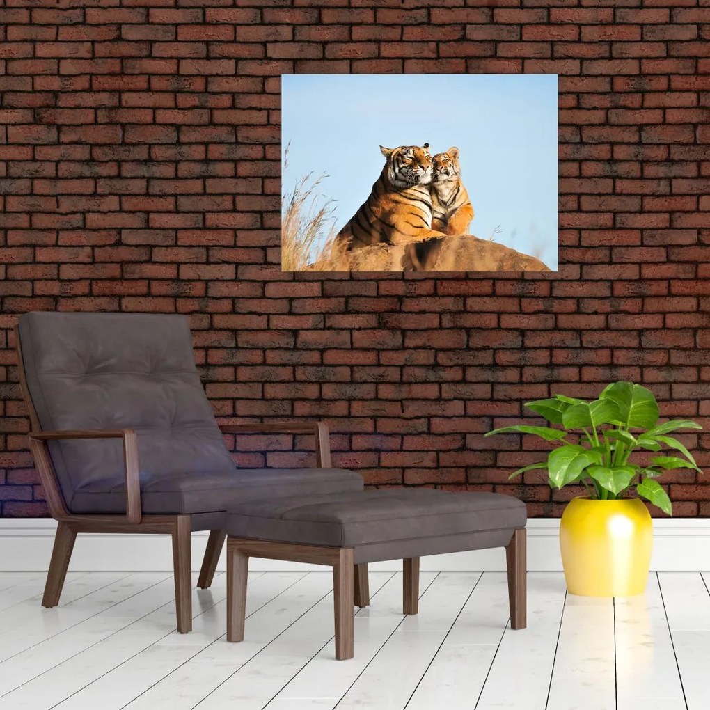 Tablou - Tigroaica cu pui (70x50 cm)