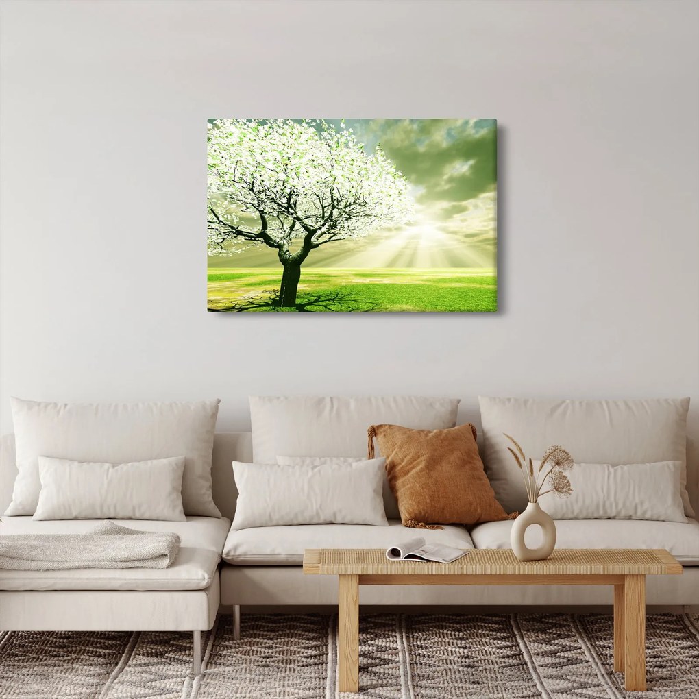 Tablou cu copaci pe luncă (90x60 cm)