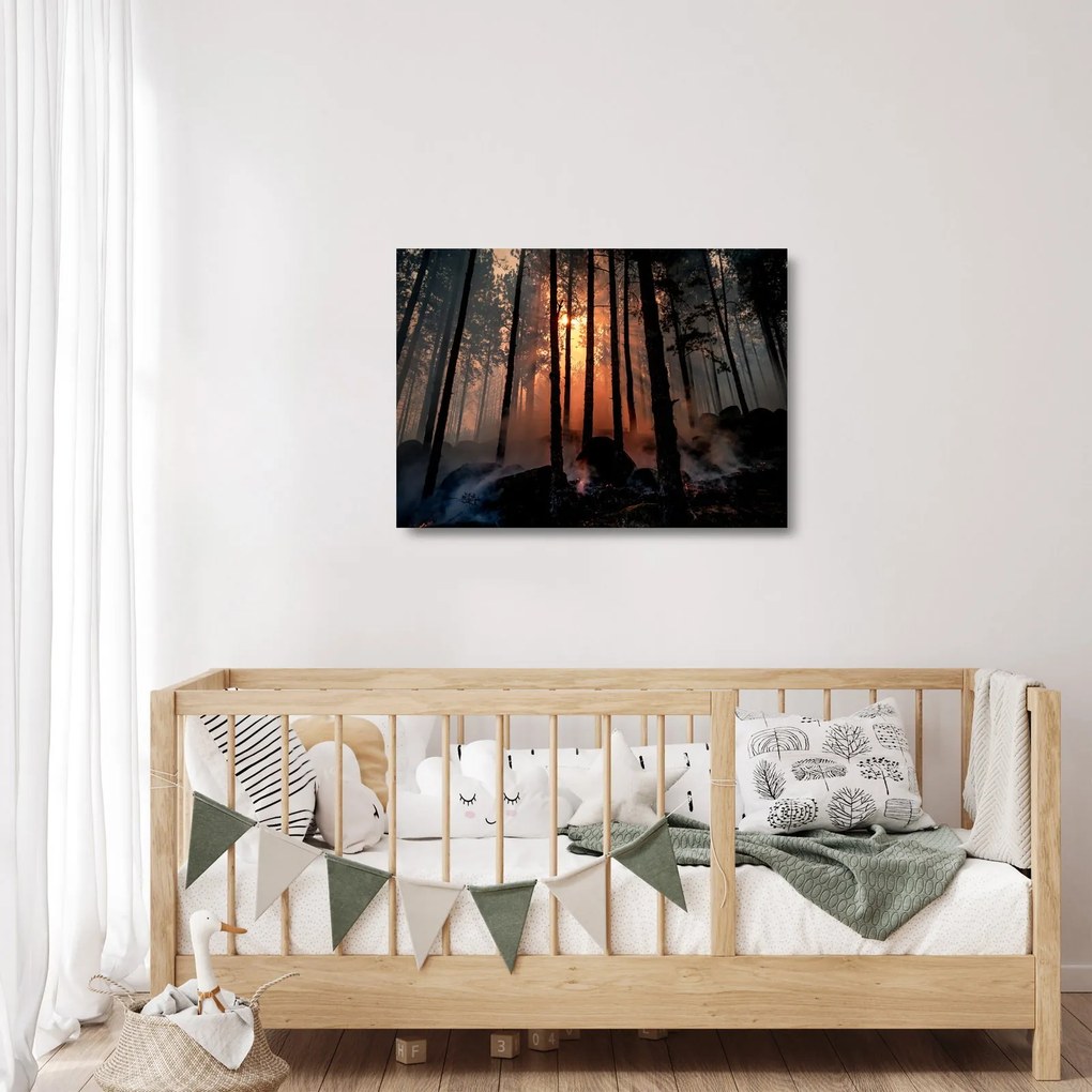 Tablou pe sticlă cu pădure întunecată (70x50 cm)