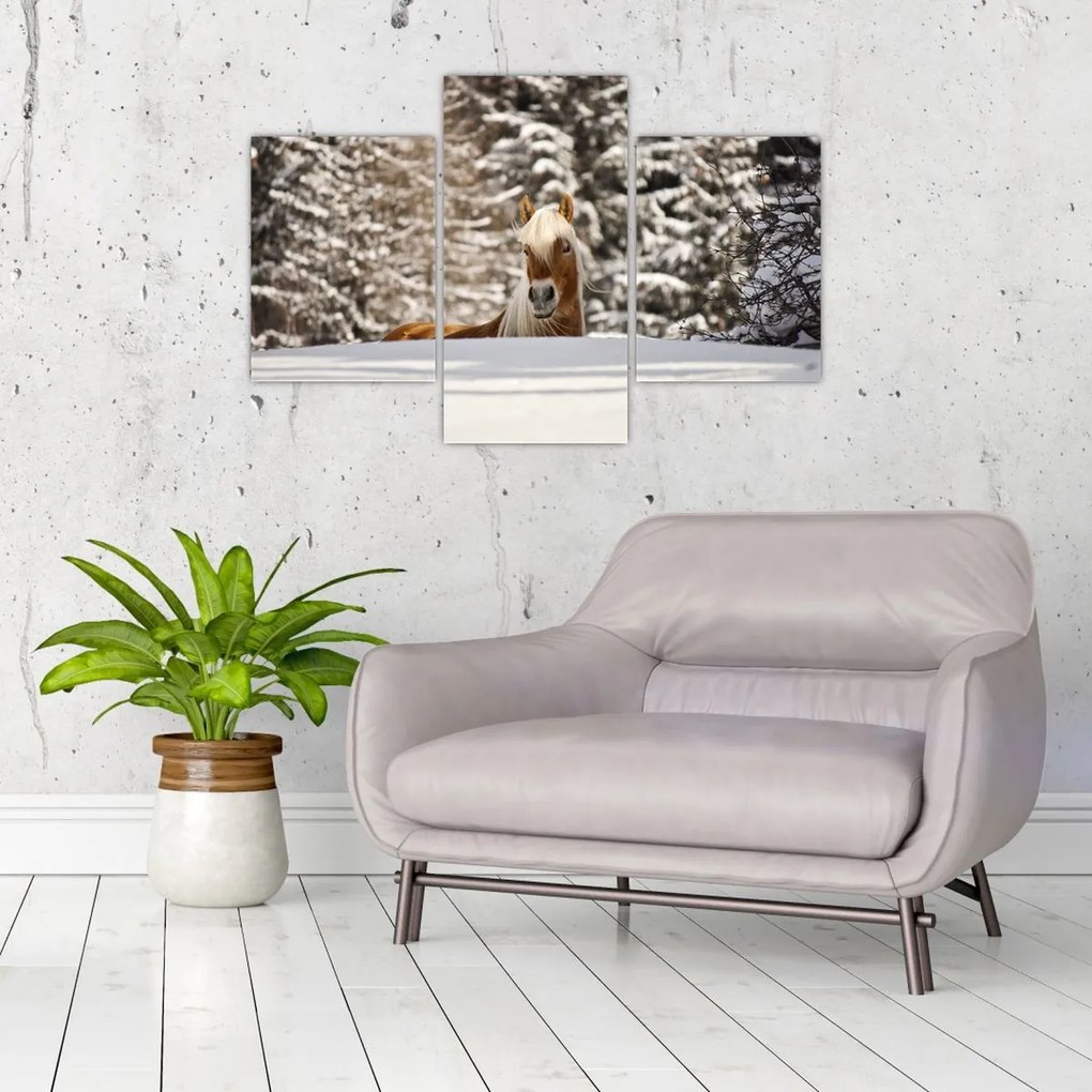 Tablou - Cal în peisaj de iarnă (90x60 cm)