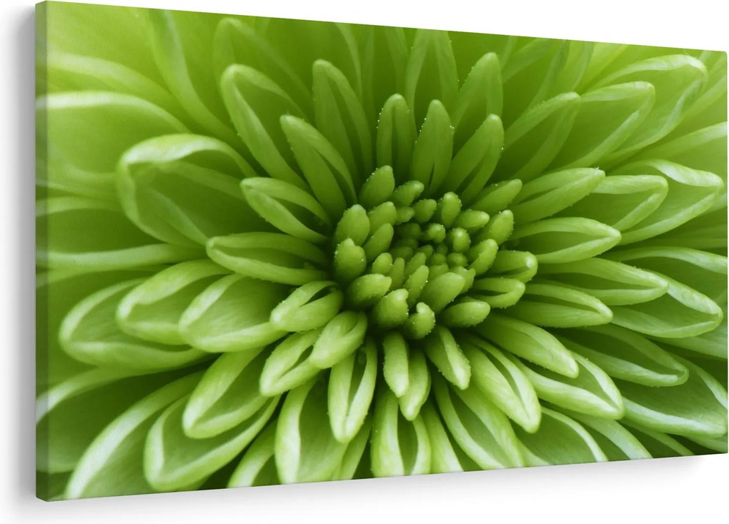 Tablou - Imagine macro a unei plante (90x60 cm)