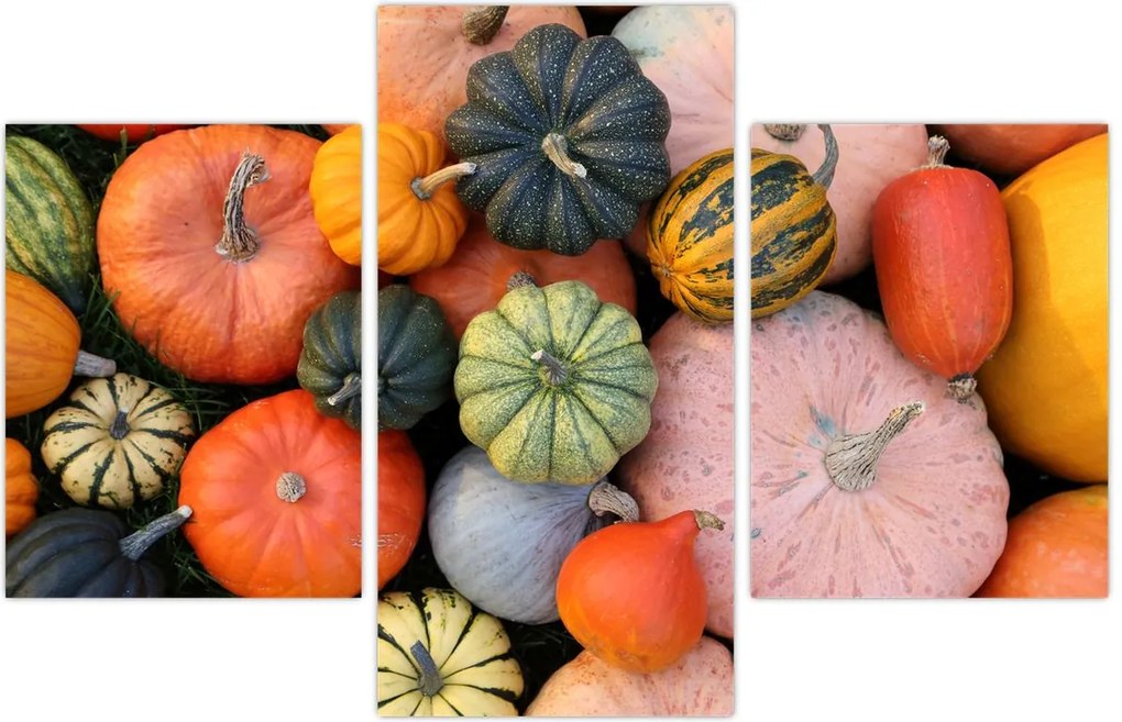 Tablou - Dovleac (90x60 cm)