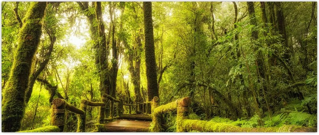 Tablou junglei cu mușchi (120x50 cm)
