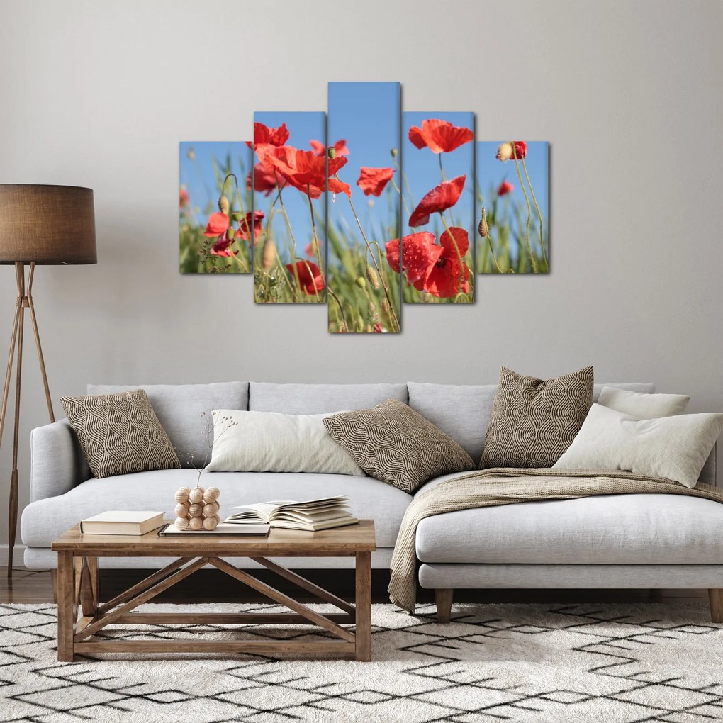 Tablou - Maci (150x105 cm)