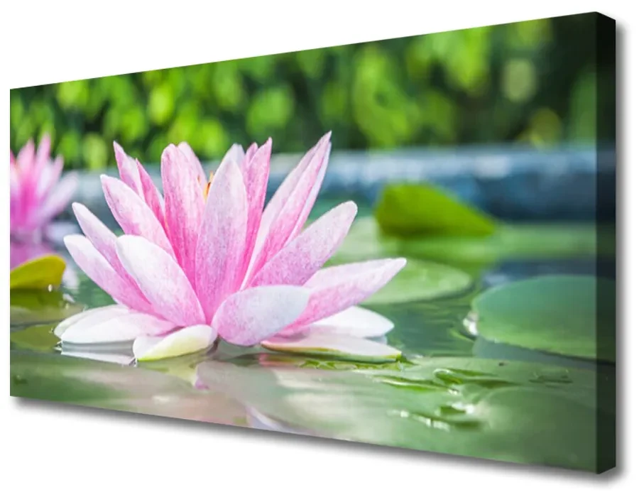 Tablou pe panza canvas Water Flower Art Roz Verde