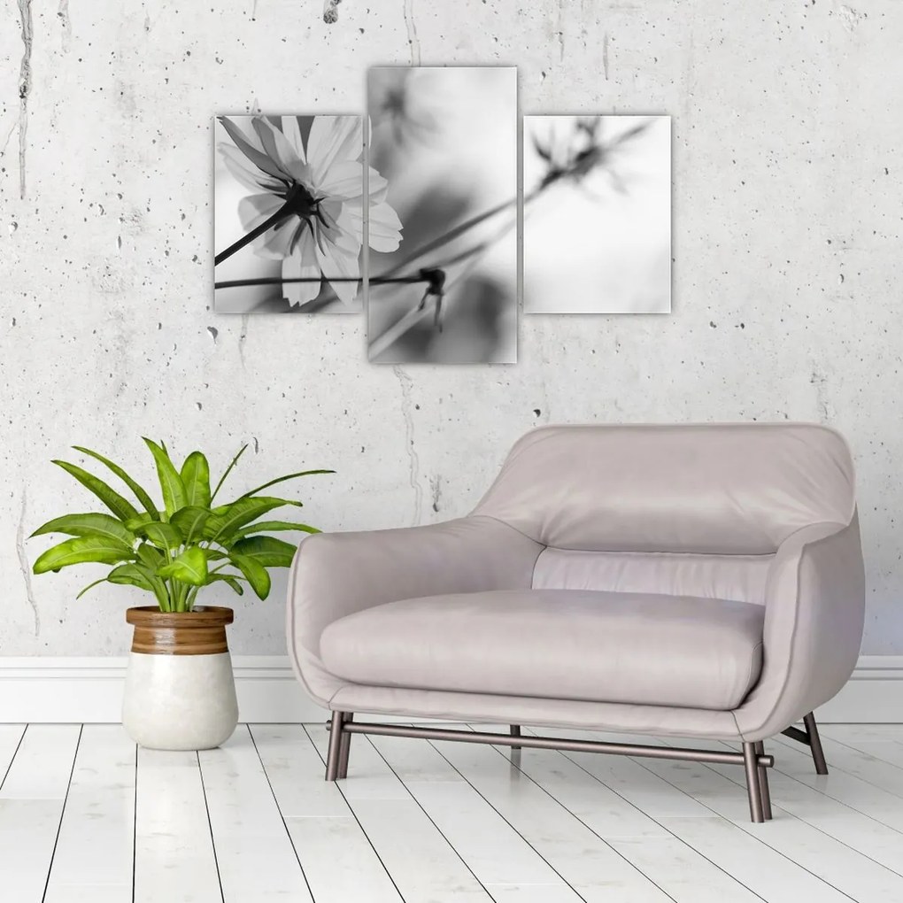 Tablou - Flori alb-negru (90x60 cm)