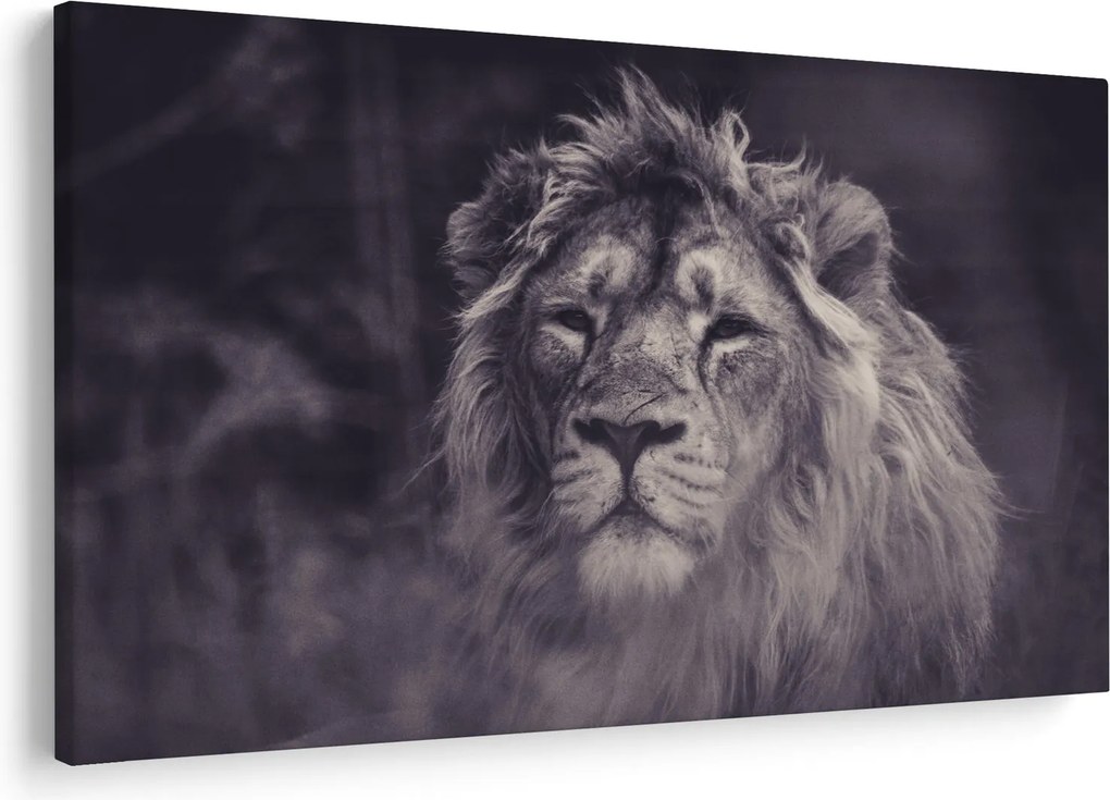 Tablou cu leu (90x60 cm)