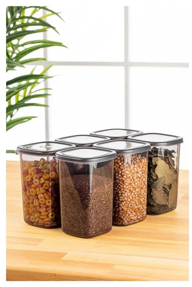 Recipiente 6 buc. pentru alimente Fresco – Hermia