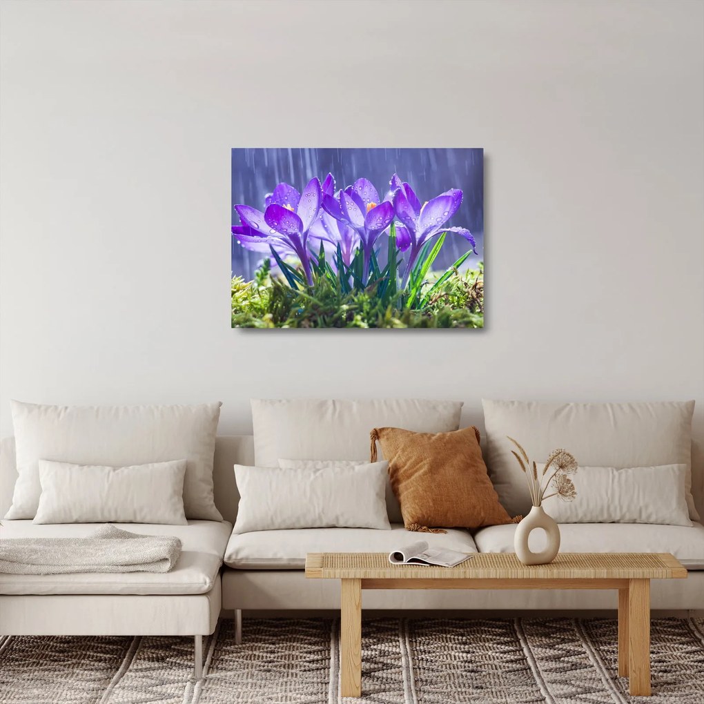Tablou pe sticlă cuflori în ploaie (70x50 cm)