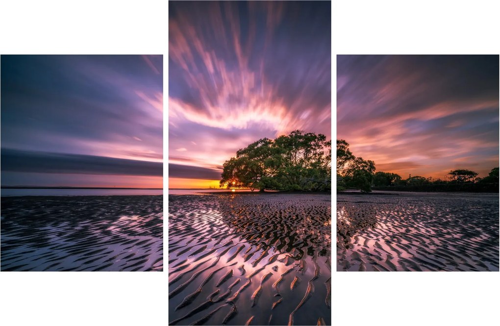 Tablou copacului pe plajă (90x60 cm)