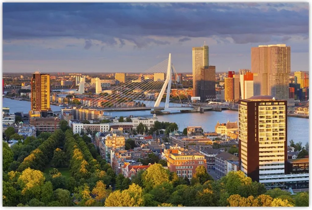 Tablou - Panorama Rotterdamului, Țările de Jos (90x60 cm)