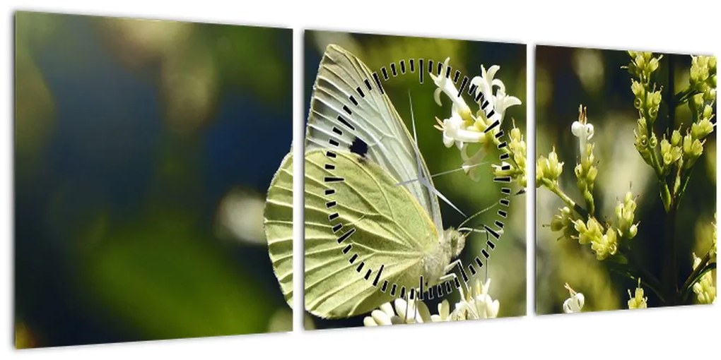 Tablou cu fluture (cu ceas) (90x30 cm)