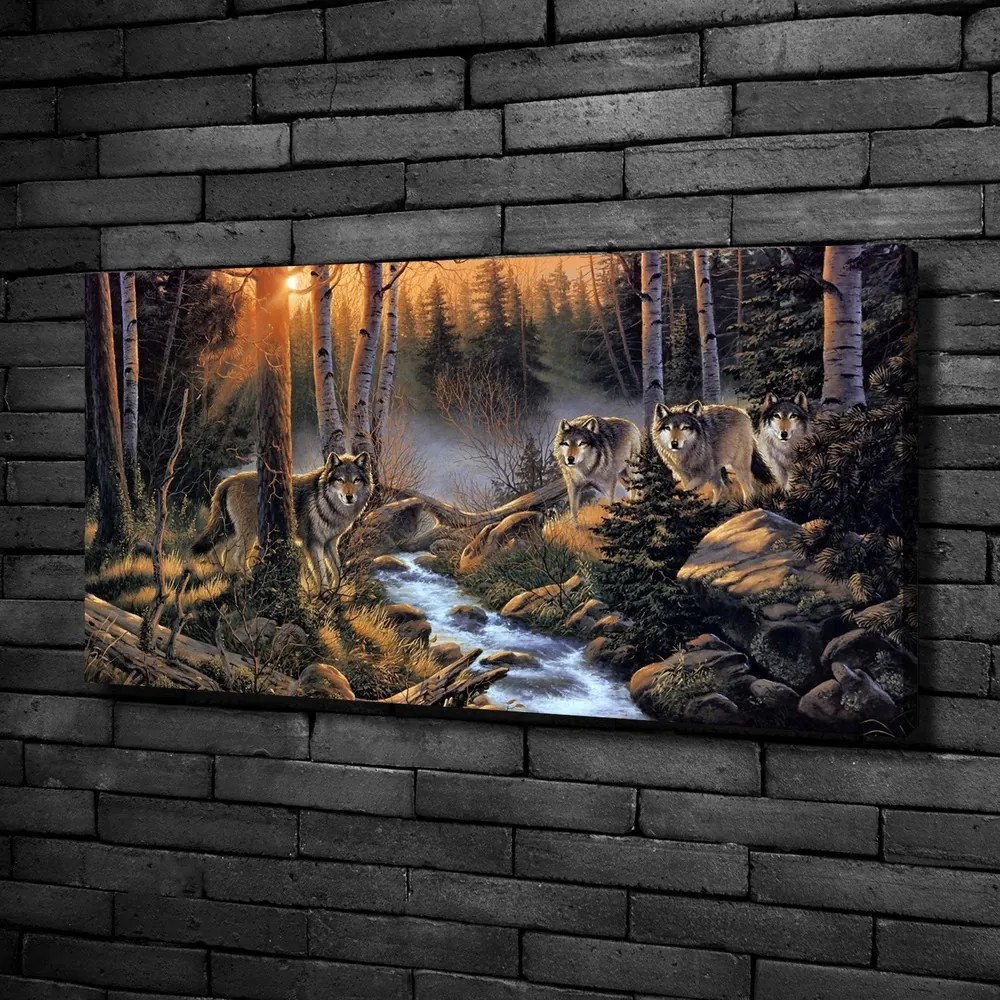 Tablou pe pânză canvas Haită de lupi
