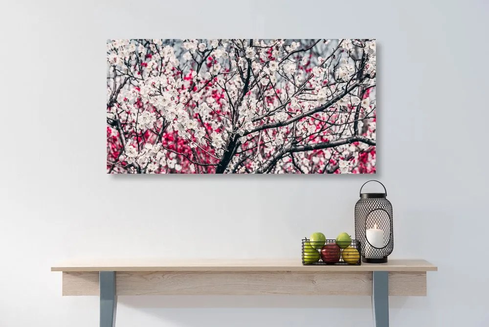 Tablou flori de piersică