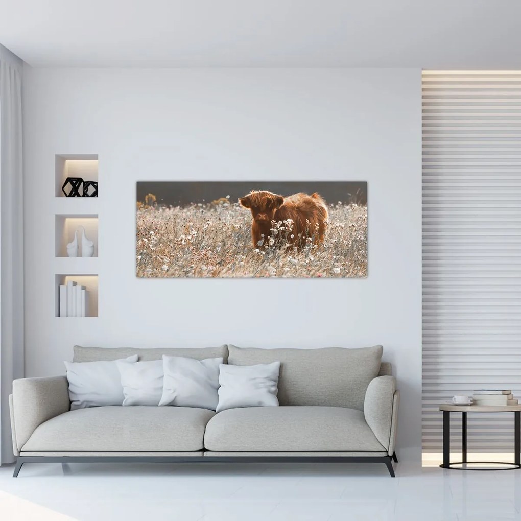 Tablou - Vacă scoțiană (120x50 cm)