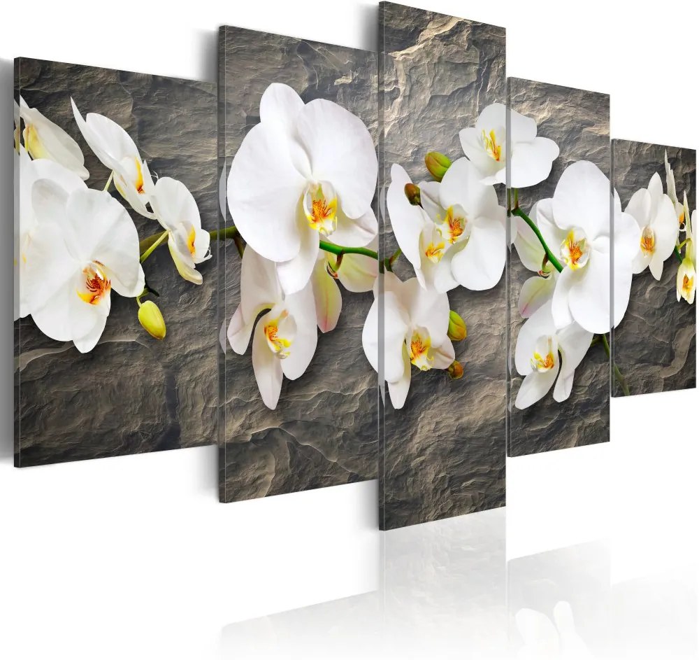 Tablou Bimago - Orchids on the stone 100x50 cm