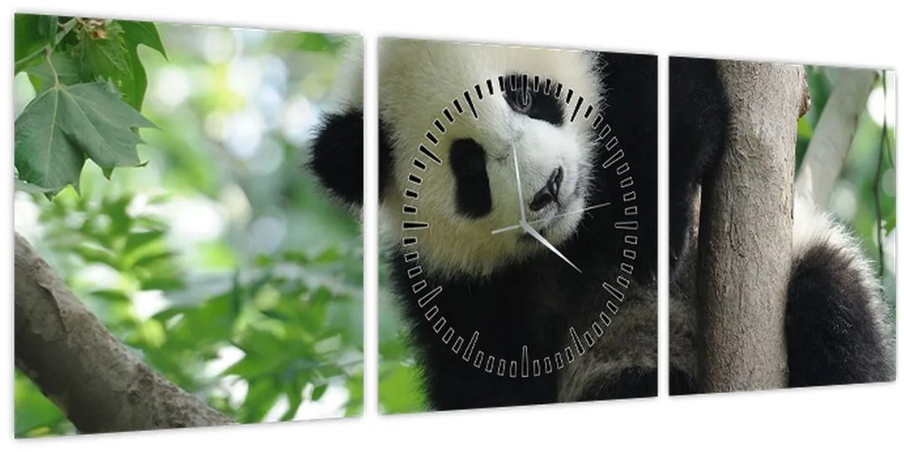 Tablou - Panda in copac (cu ceas) (90x30 cm)