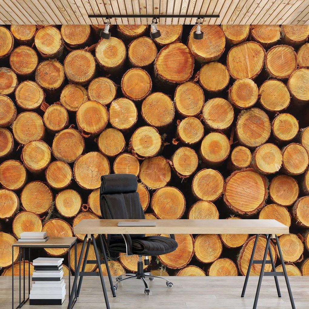 Fototapet - Lemn (152,5x104 cm)