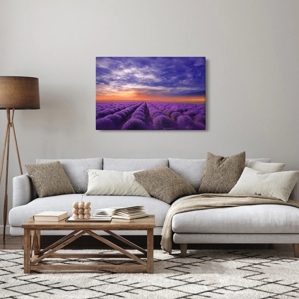 Tablou câmpului cu lavandă (90x60 cm)