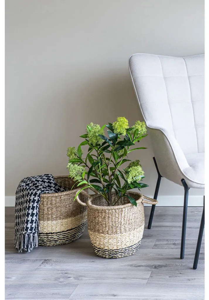 Skimmia fa műnövény, zöld 75 cm
