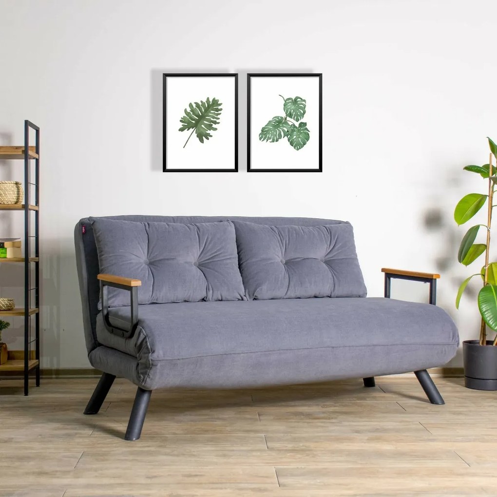 Canapea extensibilă Sando 2 Grey