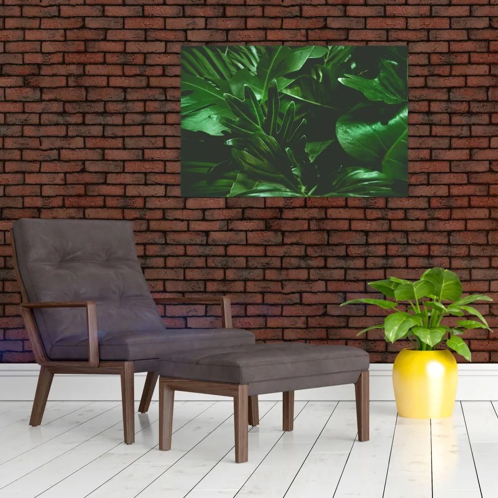 Tablou - Frunze de palmier (90x60 cm)