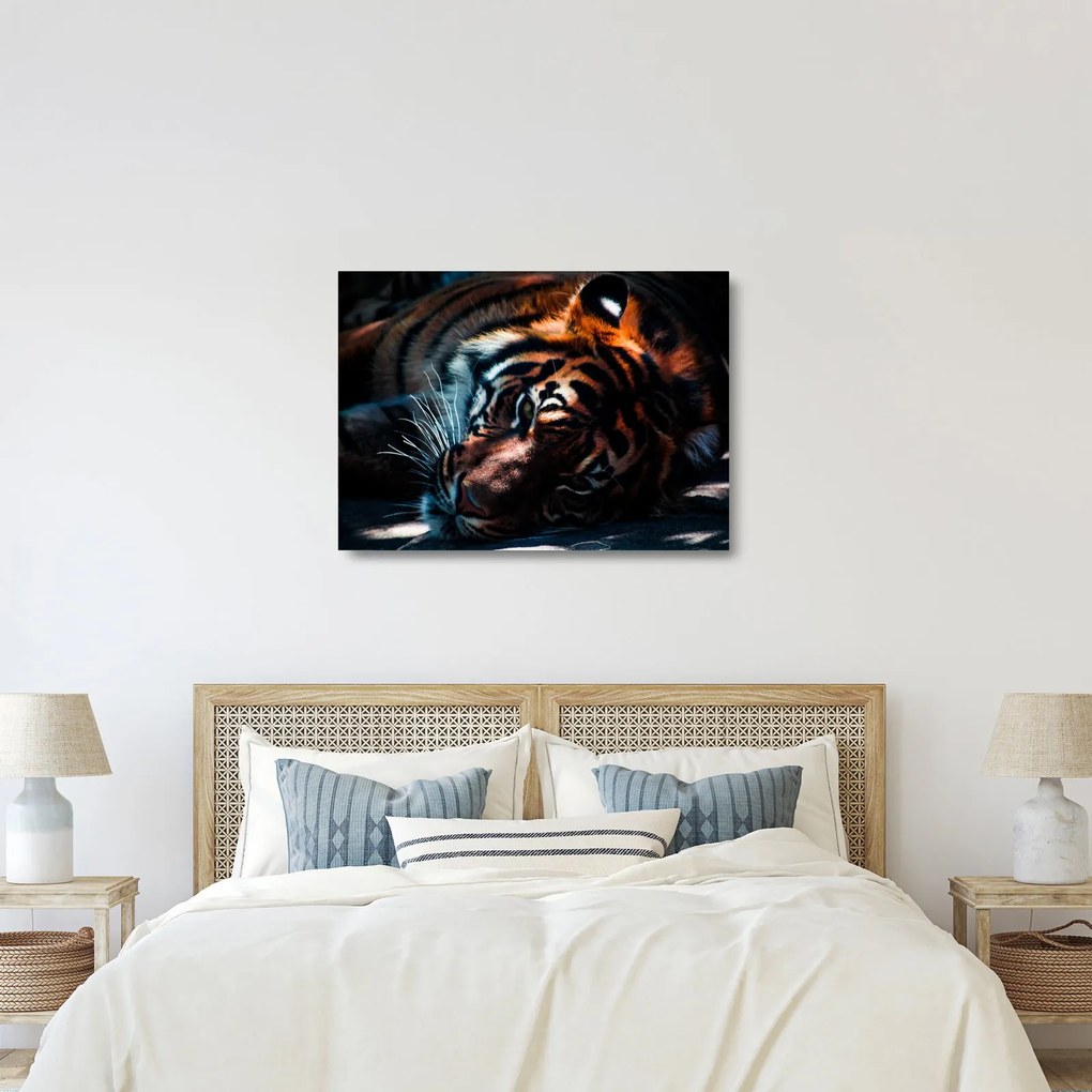 Tablou pe sticlă cu tigrul dormind (70x50 cm)