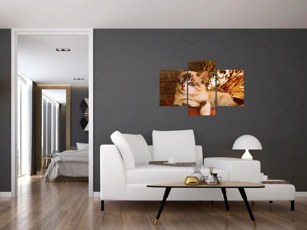 Tablou cu pisica în ghiveci (90x60 cm)