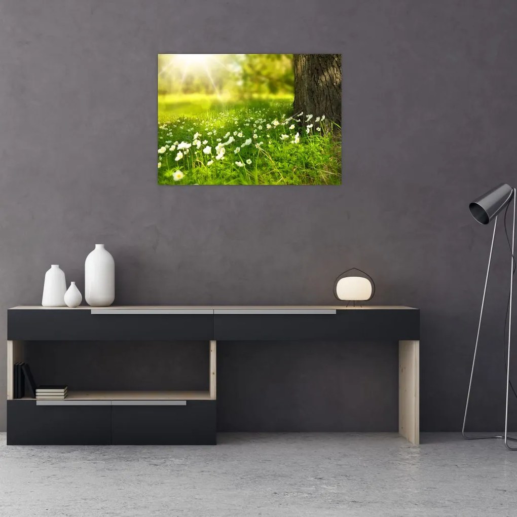 Tablou cu poiana și flori (70x50 cm)