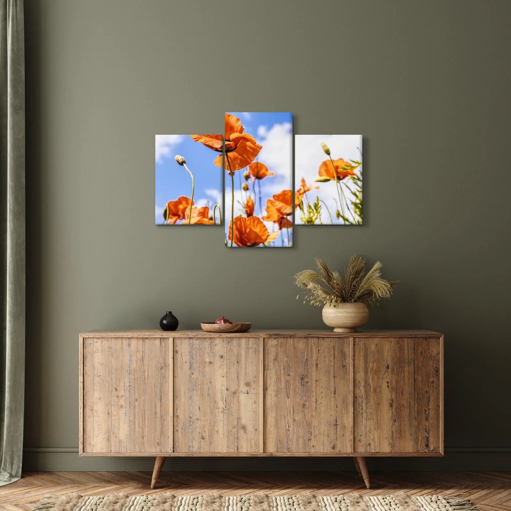 Tablou cu macii (90x60 cm)