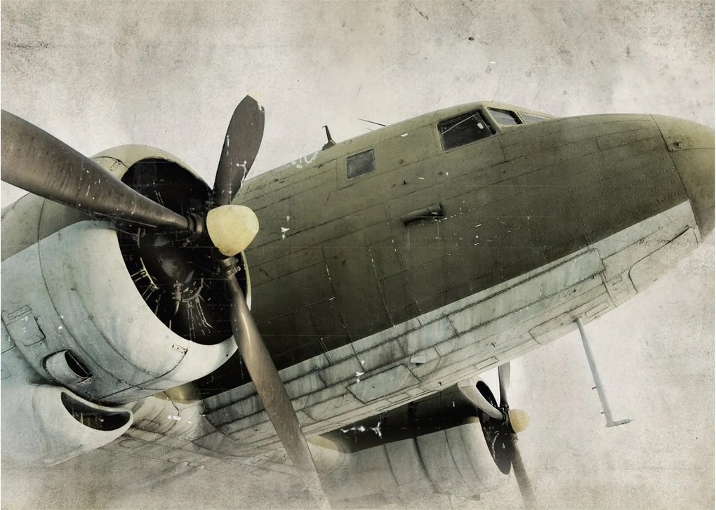 Tablou - Avion vechi cu elice (70x50 cm)
