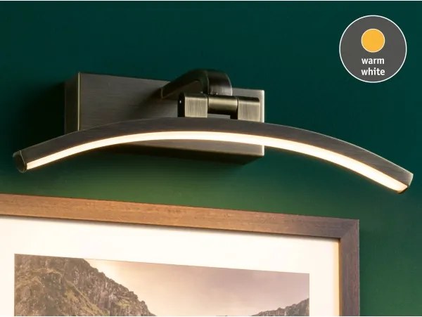 Paulmann 95559 - LED/6W Lampă pentru tablouri BENTO 230V 30 cm alamă