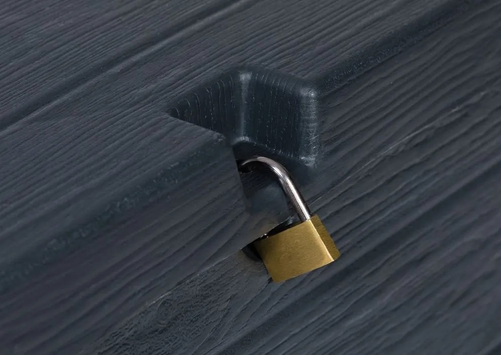 WOOD cutie de depozitare din plastic pentru grădină 420 L, g