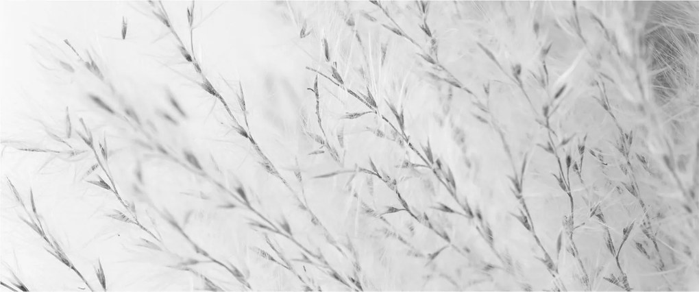 Tablou - Iarbă de pampas N⁰2 (120x50 cm)