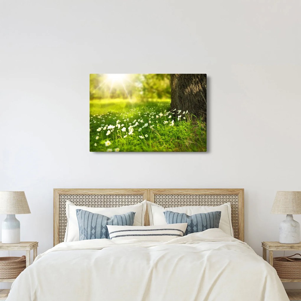 Tablou cu poiana și flori (90x60 cm)