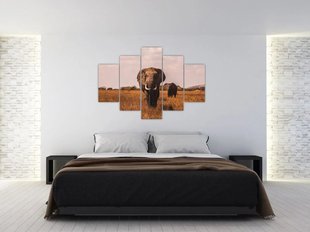 Tablou - Venirea elefantului (150x105 cm)