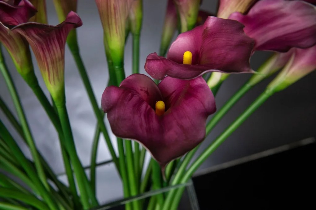 Aranjament floral mediu design LUX RUBBER CALLA